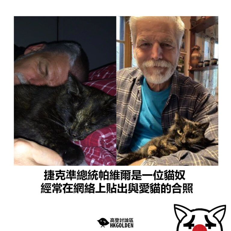 【捷克準總統帕維爾是一位貓奴 經常在網絡上貼出與愛貓的合照】