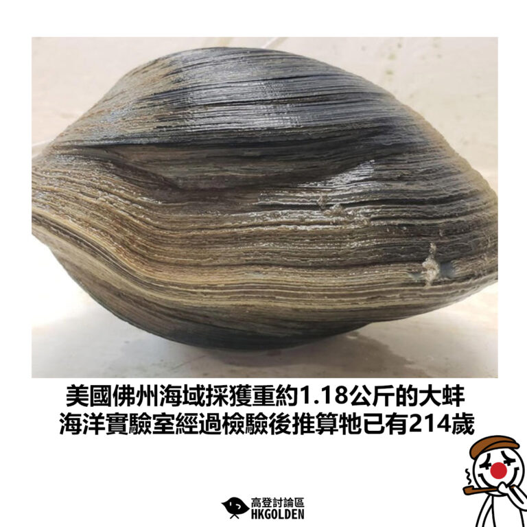 【美國佛州海域採獲重約1.18公斤的大蚌 海洋實驗室經過檢驗後推算牠已有214歲】