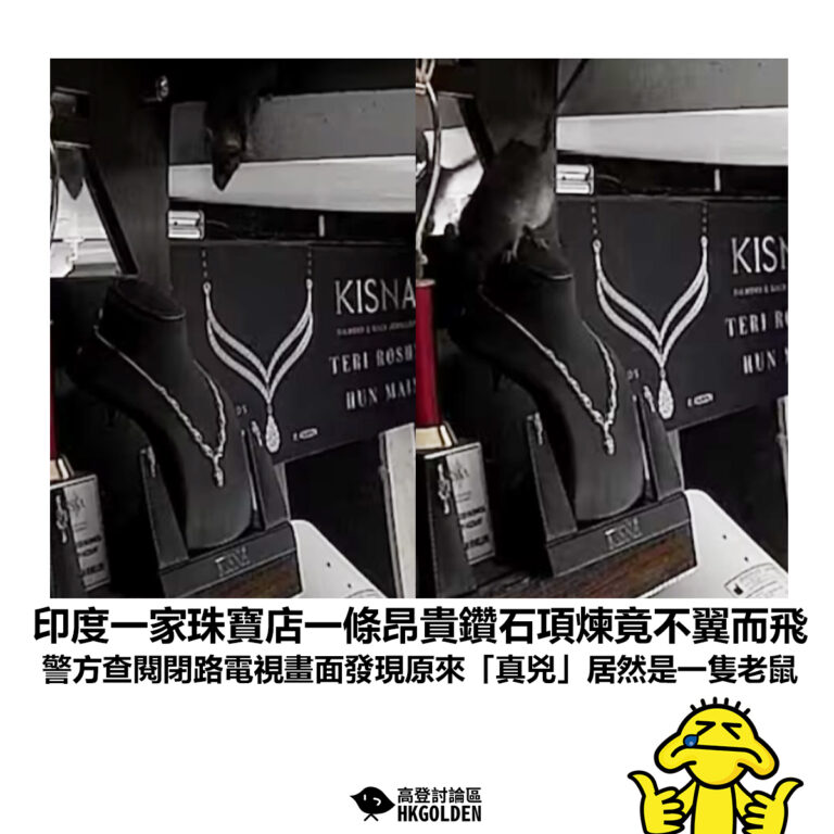 【印度一家珠寶店一條昂貴鑽石項煉竟不翼而飛 警方查閱閉路電視畫面發現原來「真兇」居然是一隻老鼠 】
