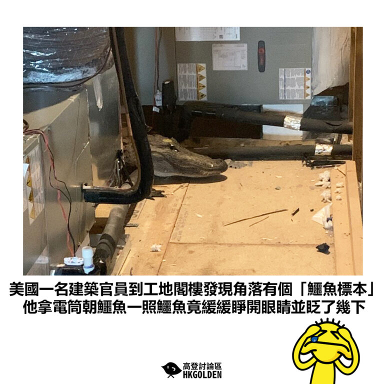 【美國一名建築官員到工地閣樓發現角落有個「鱷魚標本」他拿電筒朝鱷魚一照鱷魚竟緩緩睜開眼睛並眨了幾下】
