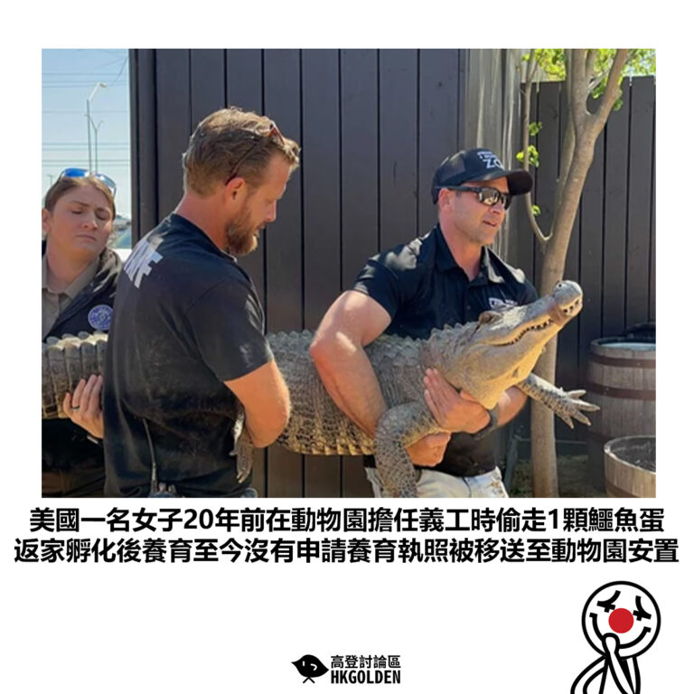 【美國一名女子20年前在動物園擔任義工時偷走1顆鱷魚蛋 返家孵化後養育至今沒有申請養育執照被移送至動物園安置】