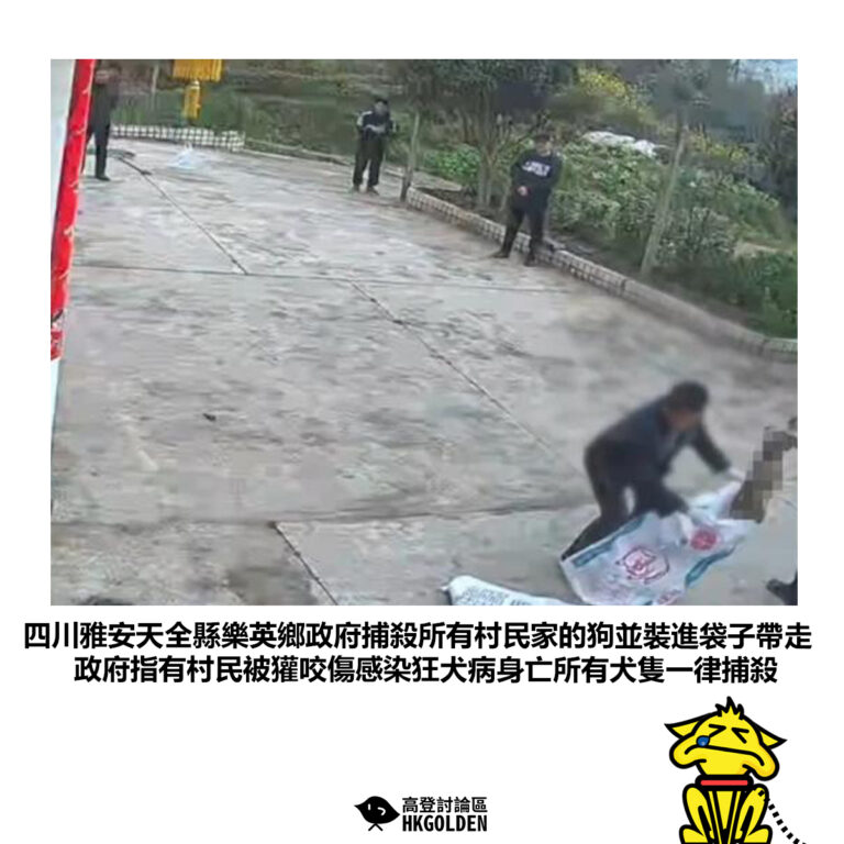 【四川雅安天全縣樂英鄉政府捕殺所有村民家的狗並裝進袋子帶走政府指有村民被獾咬傷感染狂犬病身亡所有犬隻一律捕殺】