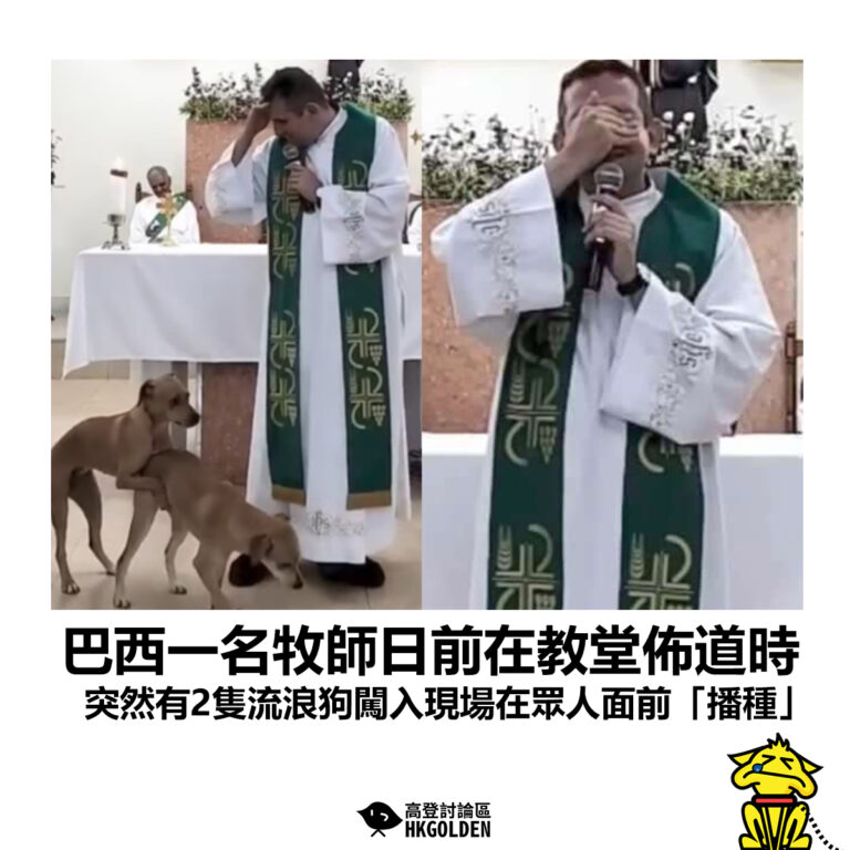 【巴西一名牧師日前在教堂佈道時 突然有2隻流浪狗闖入現場在眾人面前「播種」】