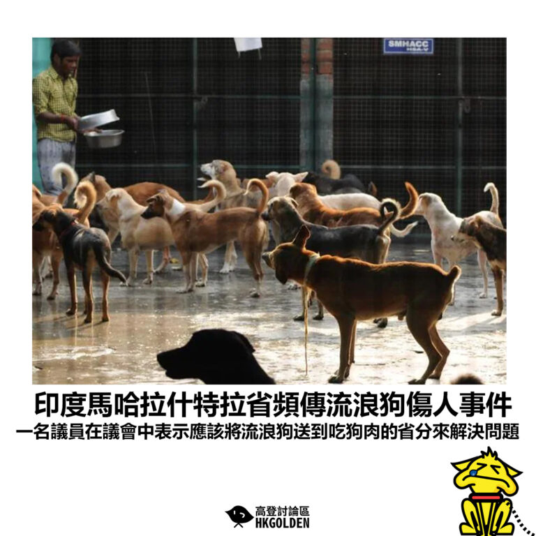 【印度馬哈拉什特拉省頻傳流浪狗傷人事件 一名議員在議會中表示應該將流浪狗送到吃狗肉的省分來解決問題】