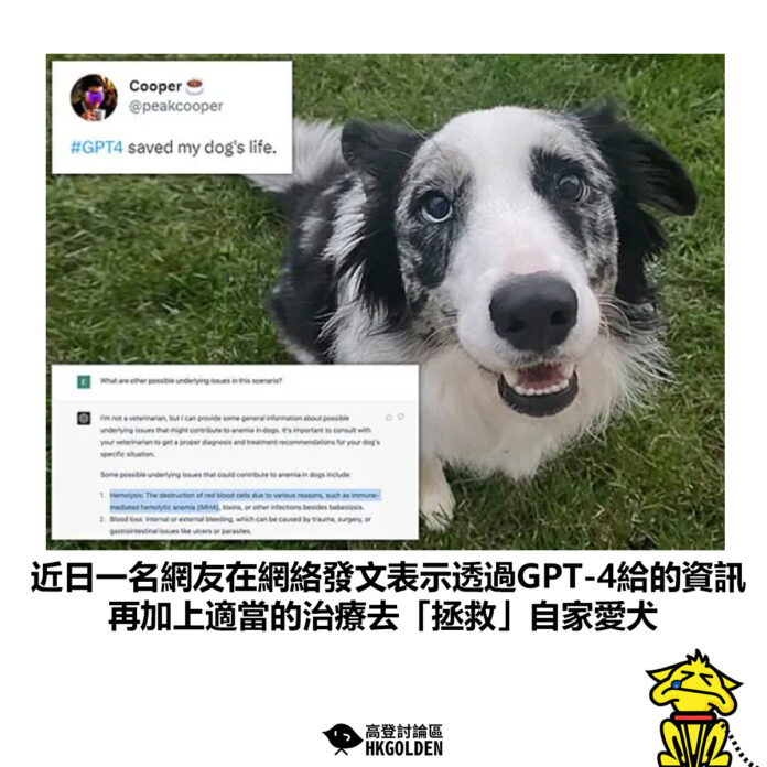 dsgsadgfasg