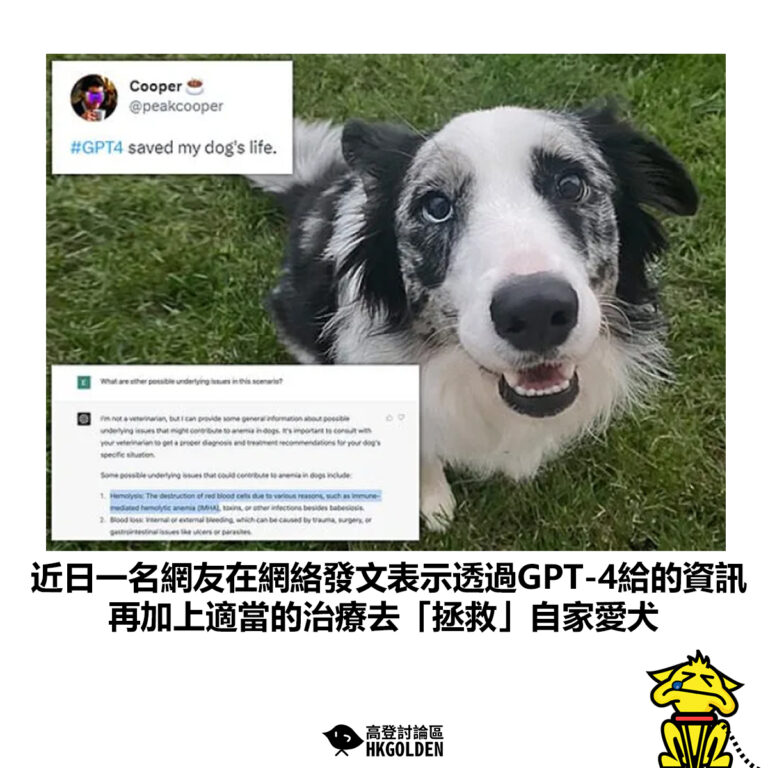 【近日一名網友在網絡發文表示透過GPT-4給的資訊 再加上適當的治療去「拯救」自家愛犬】