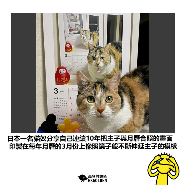 【日本一名貓奴分享自己連續10年把主子與月曆合照的畫面 印製在每年月曆的3月份上像照鏡子般不斷伸延主子的模樣】