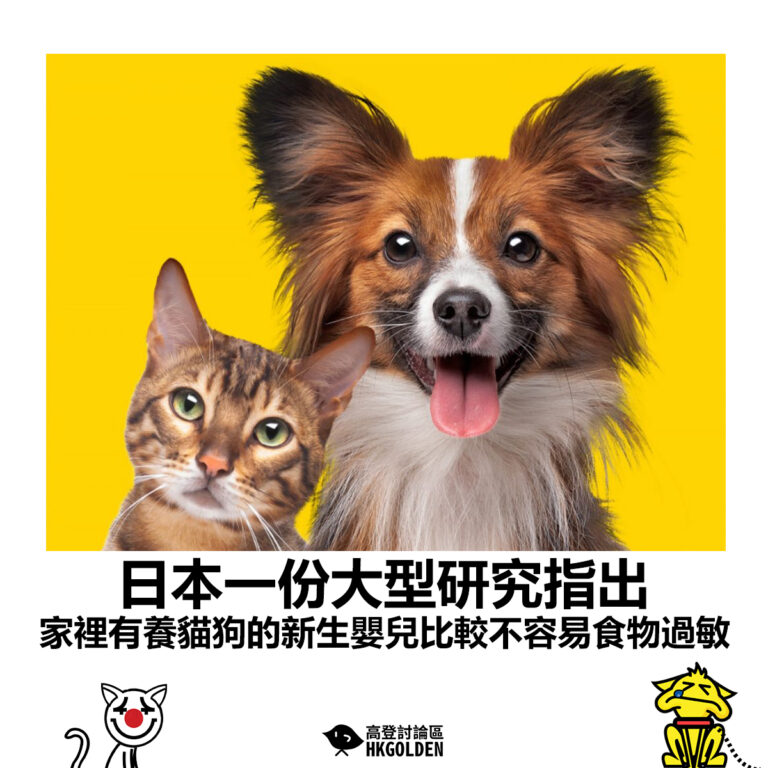 【日本一份大型研究指出  家裡有養貓 狗的新生嬰兒比較不容易食物過敏】