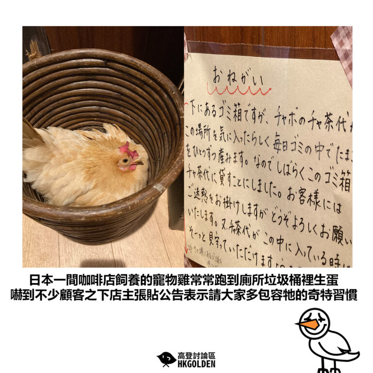 【日本一間咖啡店飼養的寵物雞常常跑到廁所垃圾桶裡生蛋 嚇到不少顧客之下店主張貼公告表示請大家多包容牠的奇特習慣】