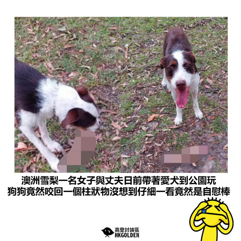 【澳洲雪梨一名女子與丈夫日前帶著愛犬到公園玩 狗狗竟然咬回一個柱狀物沒想到仔細一看竟然是自慰棒】
