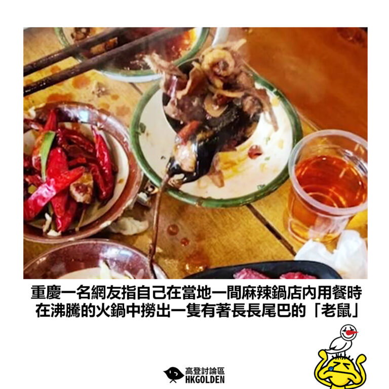 【重慶一名網友指自己在當地一間麻辣鍋店內用餐時 在沸騰的火鍋中撈出一隻有著長長尾巴的「老鼠」】