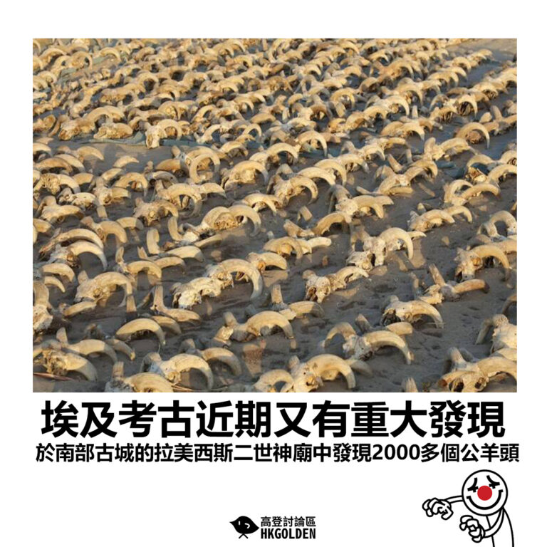【埃及考古近期又有重大發現 於南部古城的拉美西斯二世神廟中發現2000多個公羊頭】