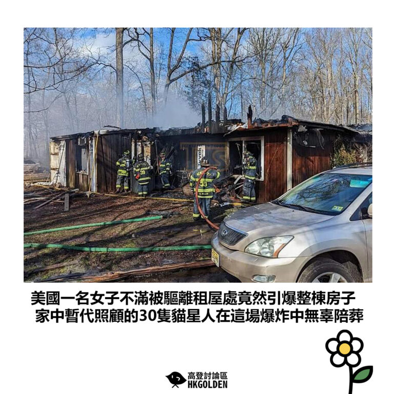 【美國一名女子不滿被驅離租屋處竟然引爆整棟房子 家中暫代照顧的30隻貓星人在這場爆炸中無辜陪葬】