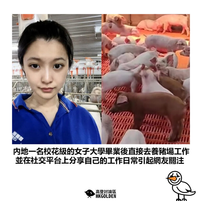 【內地一名校花級的女子大學畢業後直接去養豬場工作 並在社交平台上分享自己的工作日常引起網友關注】