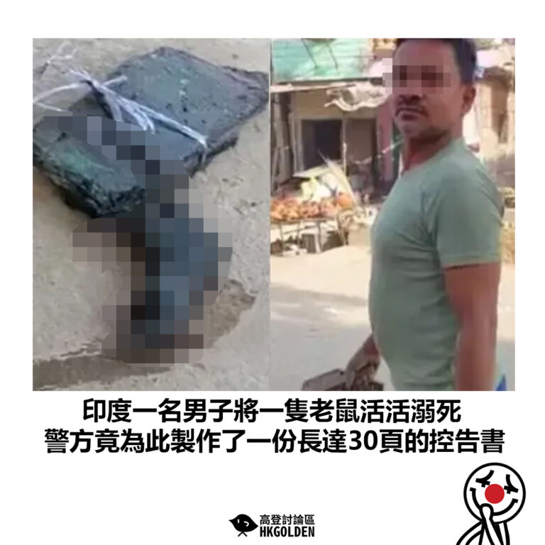 【印度一名男子將一隻老鼠活活溺死 警方竟為此製作了一份長達30頁的控告書】