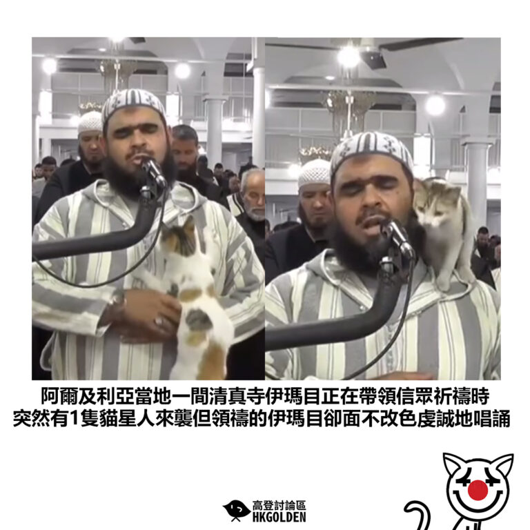 【阿爾及利亞當地一間清真寺伊瑪目正在帶領信眾祈禱時 突然有1隻貓星人來襲但領禱的伊瑪目卻面不改色虔誠地唱誦】
