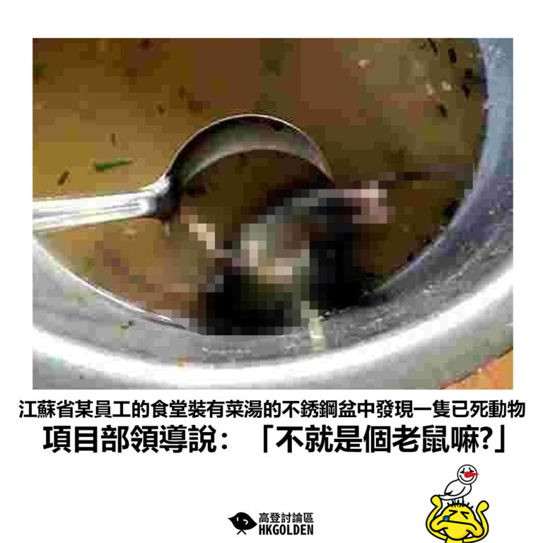 【江蘇省某員工的食堂裝有菜湯的不銹鋼盆中發現一隻已死動物 項目部領導說：「不就是個老鼠嘛?」】