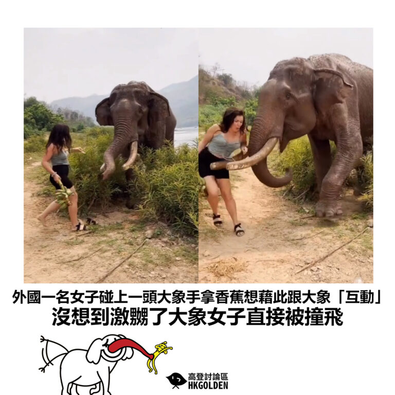 【外國一名女子碰上一頭大象手拿香蕉想藉此跟大象「互動」沒想到激嬲了大象女子直接被撞飛】
