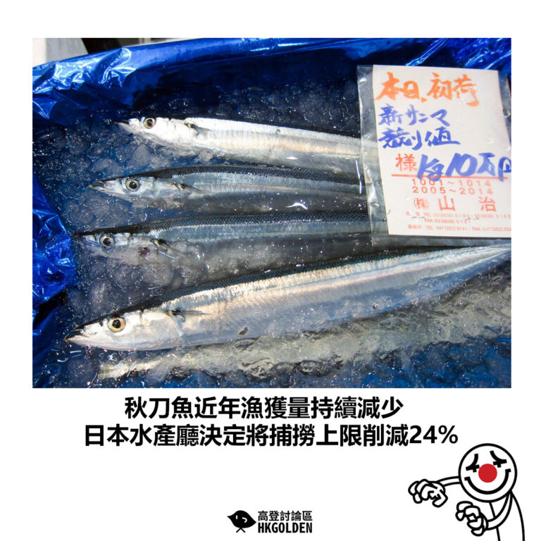 【秋刀魚近年漁獲量持續減少 日本水產廳決定將捕撈上限削減24%】