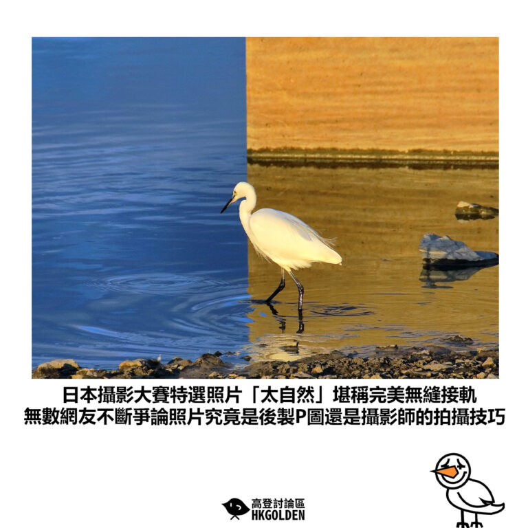 【日本攝影大賽特選照片「太自然」堪稱完美無縫接軌 無數網友不斷爭論照片究竟是後製P圖還是攝影師的拍攝技巧】