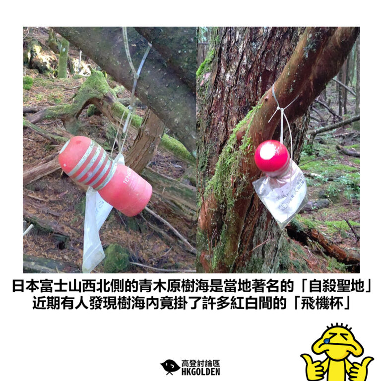 【日本富士山西北側的青木原樹海是當地著名的「自殺聖地」 近期有人發現樹海內竟掛了許多紅白間的「飛機杯」】