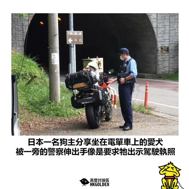 【日本一名狗主分享坐在電單車上的愛犬 被一旁的警察伸出手像是要求牠出示駕駛執照】
