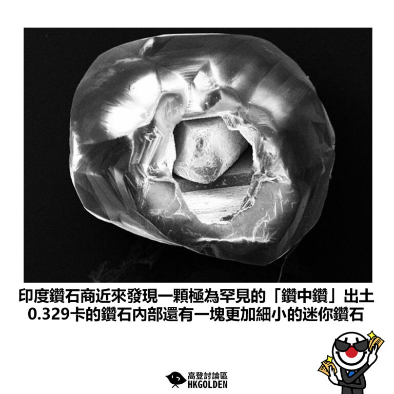 【印度鑽石商近來發現一顆極為罕見的「鑽中鑽」出土 0.329卡的鑽石內部還有一塊更加細小的迷你鑽石】