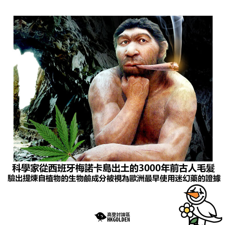 【科學家從西班牙梅諾卡島出土的3000年前古人毛髮 驗出提煉自植物的生物鹼成分被視為歐洲最早使用迷幻藥的證據】