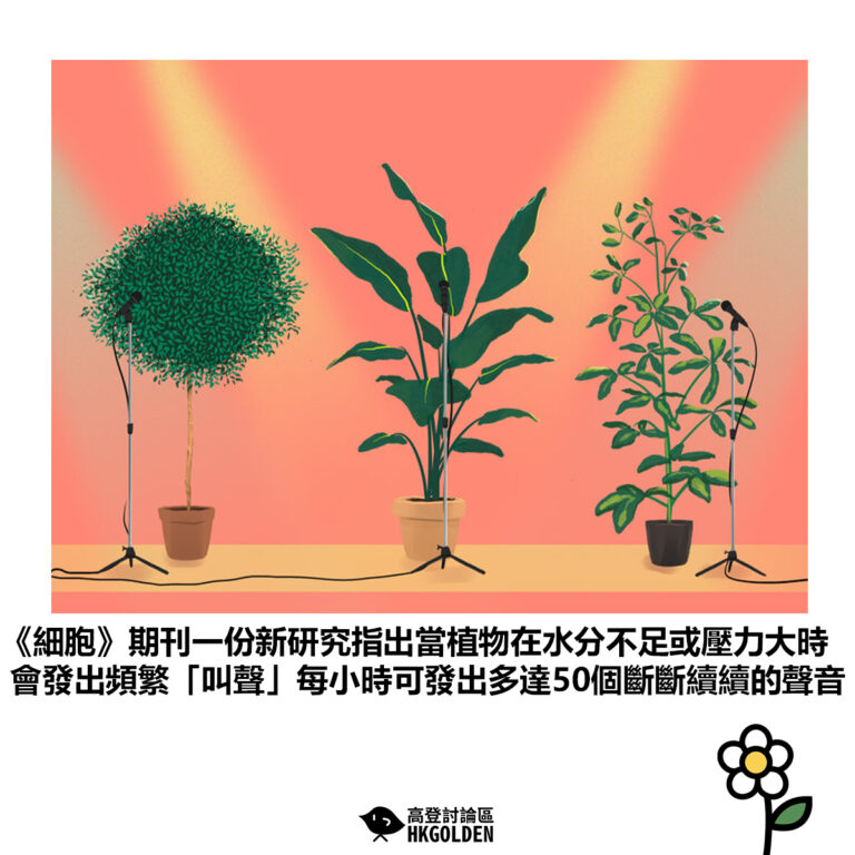 【《細胞》期刊一份新研究指出當植物在水分不足或壓力大時 會發出頻繁「叫聲」每小時可發出多達50個斷斷續續的聲音】