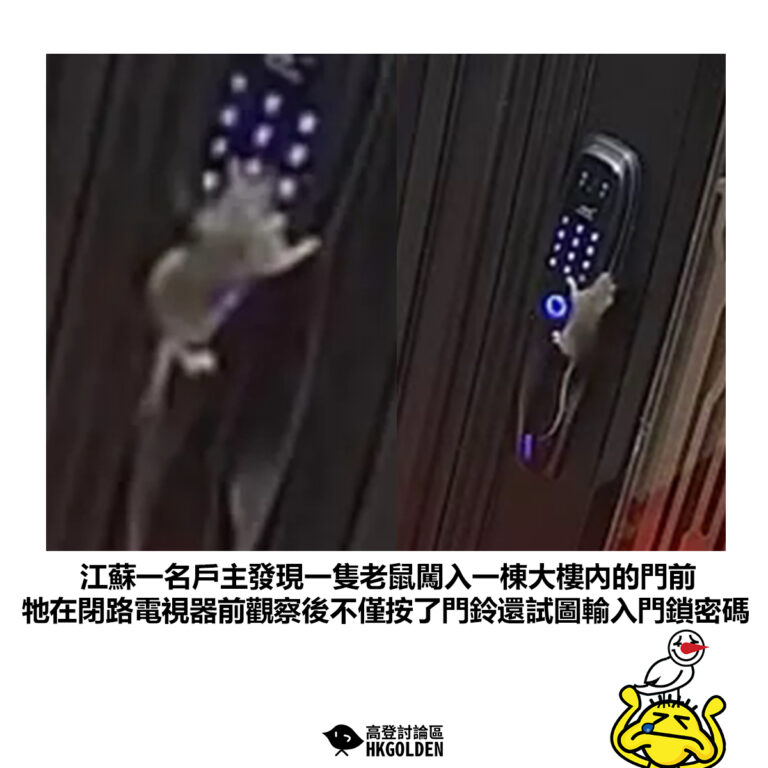 【江蘇一名戶主發現一隻老鼠闖入一棟大樓內的門前 牠在閉路電視器前觀察後不僅按了門鈴還試圖輸入門鎖密碼】