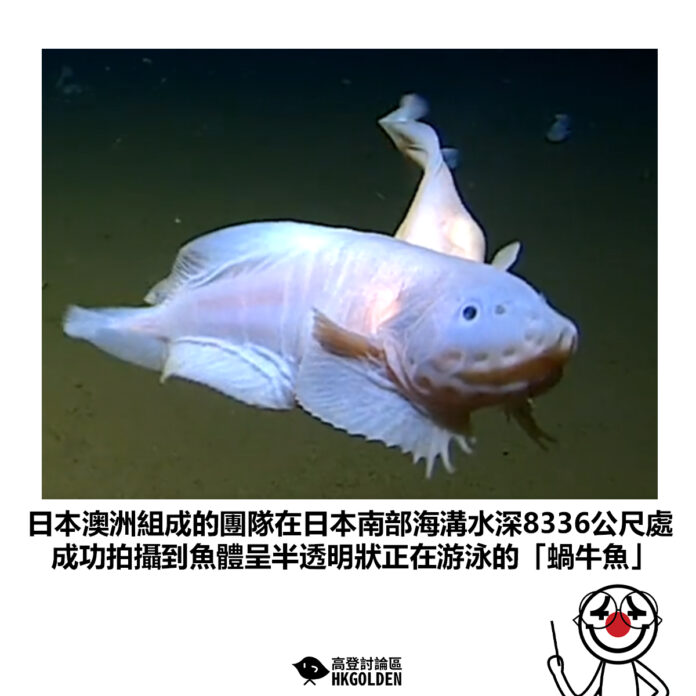 rhsehgsdh