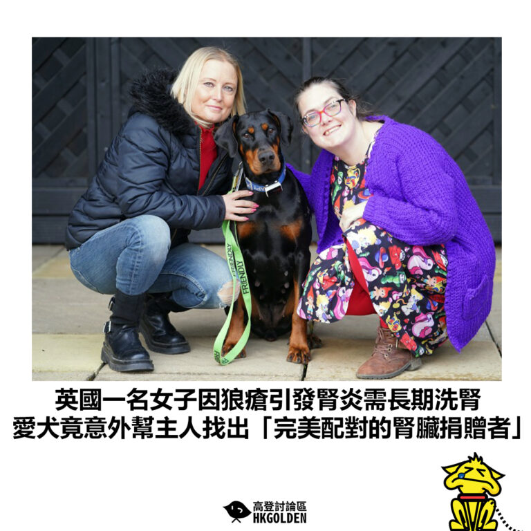 【英國一名女子因狼瘡引發腎炎需長期洗腎 愛犬竟意外幫主人找出「完美配對的腎臟捐贈者」】