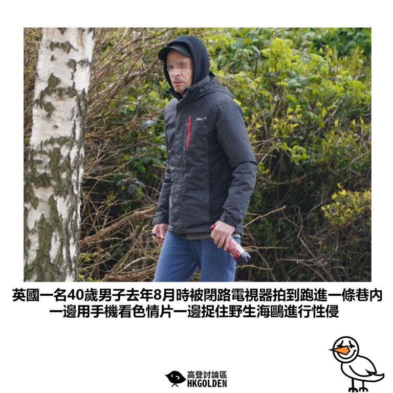 【英國一名40歲男子去年8月時被閉路電視器拍到跑進一條巷內 一邊用手機看色情片一邊捉住野生海鷗進行性侵】