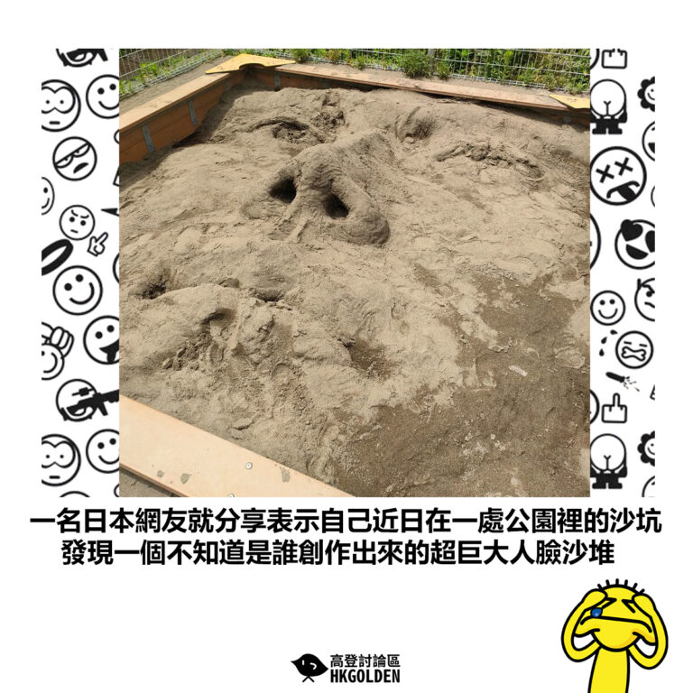 【一名日本網友就分享表示自己近日在一處公園裡的沙坑 發現一個不知道是誰創作出來的超巨大人臉沙堆】