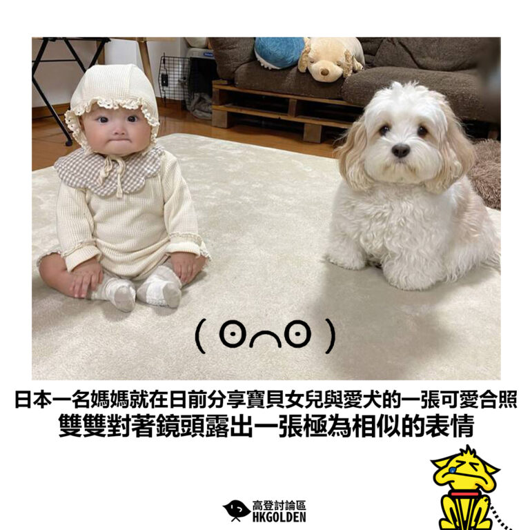 【日本一名媽媽就在日前分享寶貝女兒與愛犬的一張可愛合照 雙雙對著鏡頭露出一張極為相似的表情】