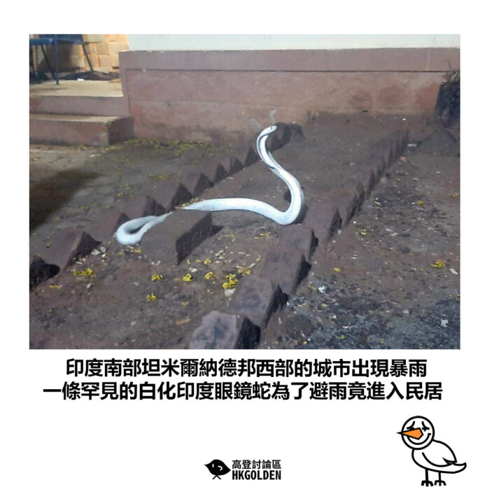 gdsgdsgsa