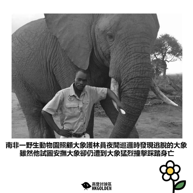 【南非一野生動物園照顧大象護林員夜間巡邏時發現逃脫的大象 雖然他試圖安撫大象卻仍遭到大象猛烈撞擊踩踏身亡】