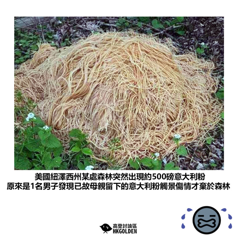 【美國紐澤西州某處森林突然出現約500磅意大利粉 原來是1名男子發現已故母親留下的意大利粉觸景傷情才棄於森林】
