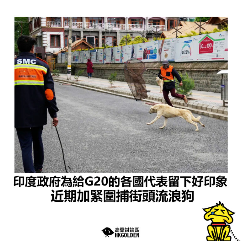 【印度政府為給G20的各國代表留下好印象 近期加緊圍捕街頭流浪狗】