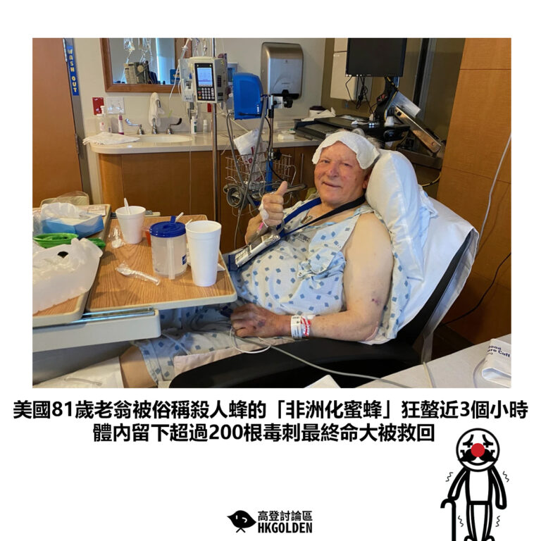 【美國81歲老翁被俗稱殺人蜂的「非洲化蜜蜂」狂螫近3個小時 體內留下超過200根毒刺最終命大被救回】