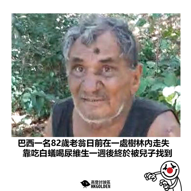 【巴西一名82歲老翁日前在一處樹林內走失 靠吃白蟻喝尿維生一週後終於被兒子找到】