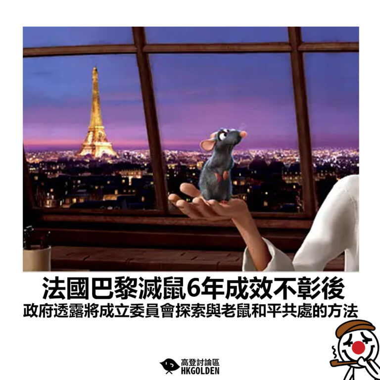 【法國巴黎滅鼠6年成效不彰後  政府透露將成立委員會探索與老鼠和平共處的方法】