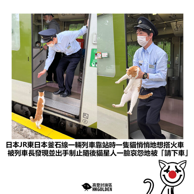 【日本JR東日本釜石線一輛列車靠站時一隻貓悄悄地想搭火車 被列車長發現並出手制止隨後貓星人一臉哀怨地被「請下車」】