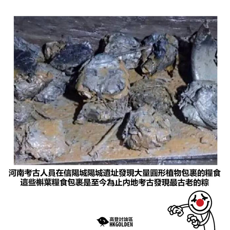【河南考古人員在信陽城陽城遺址發現大量圓形植物包裹的糧食 這些槲葉糧食包裹是至今為止內地考古發現最古老的粽】