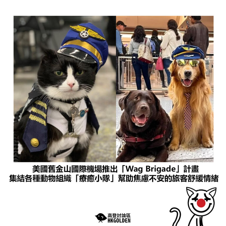 【美國舊金山國際機場推出「Wag Brigade」計畫 集結各種動物組織「療癒小隊」幫助焦慮不安的旅客舒緩情緒】