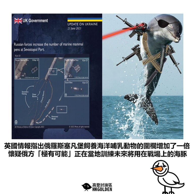 【英國情報指出俄羅斯塞凡堡飼養海洋哺乳動物的圍欄增加了一倍懷疑俄方「極有可能」正在當地訓練未來將用在戰場上的海豚】