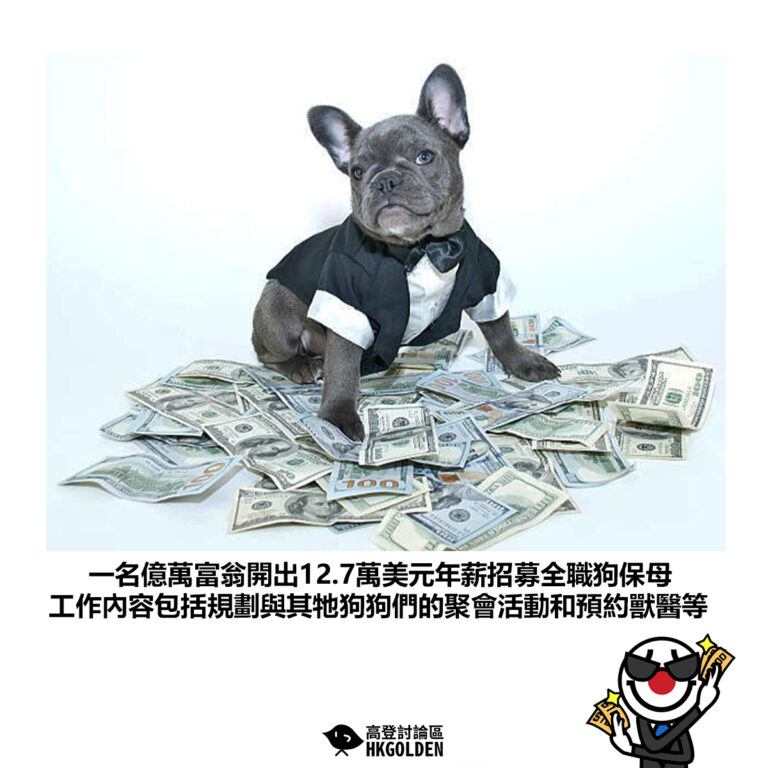 【一名億萬富翁開出12.7萬美元年薪招募全職狗保母 工作內容包括規劃與其牠狗狗們的聚會活動和預約獸醫等】