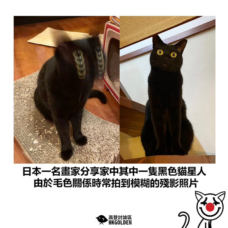 【日本一名畫家分享家中其中一隻黑色貓星人  由於毛色關係時常拍到模糊的殘影照片】
