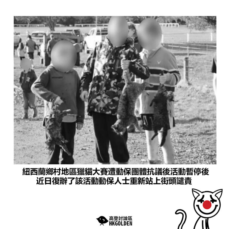 【紐西蘭鄉村地區獵貓大賽遭動保團體抗議後活動暫停後 近日復辦了該活動動保人士重新站上街頭譴責】