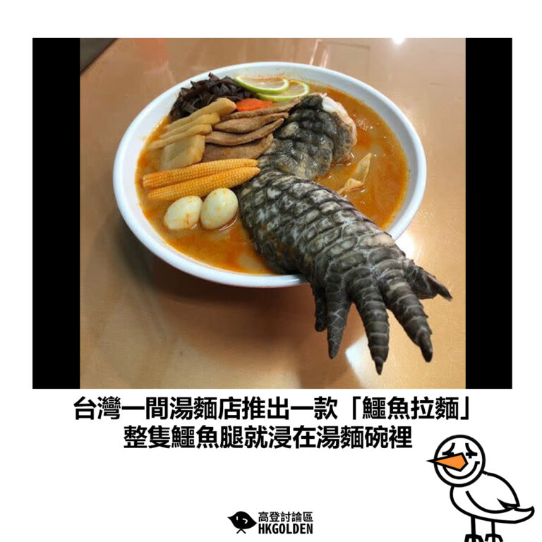 【台灣一間湯麵店推出一款「鱷魚拉麵」整隻鱷魚腿就浸在湯麵碗裡】